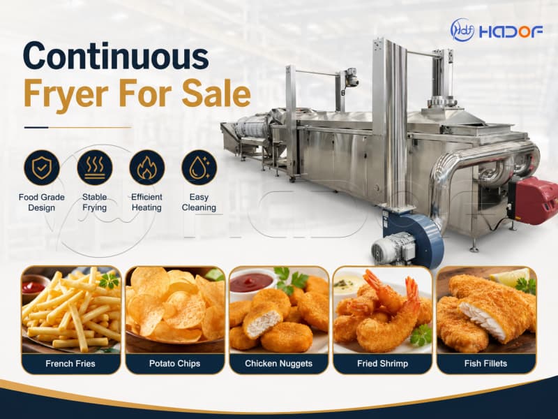 continuous fryer for sale
