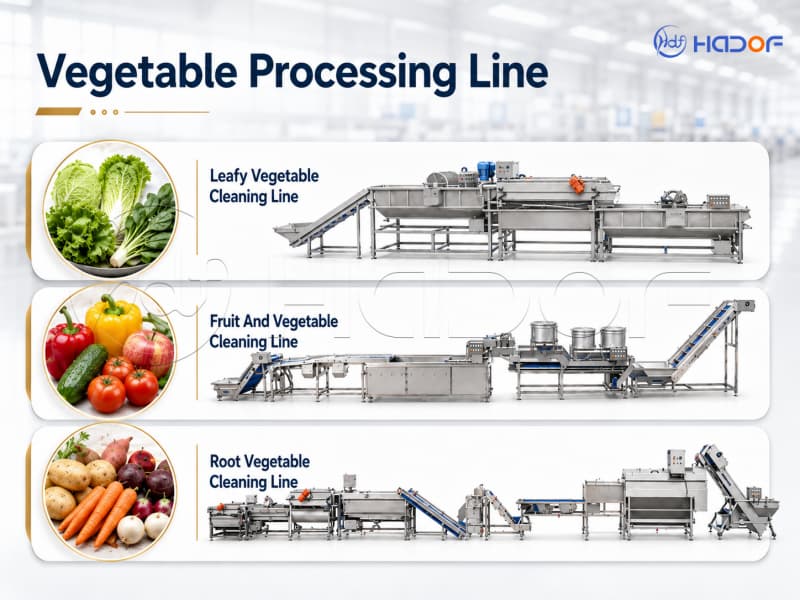 fresh produce processing line